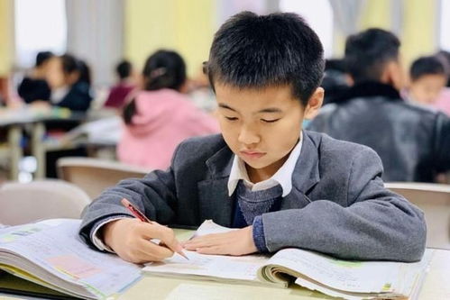 教育改革新戰略即將落地，家長心態需理性調整